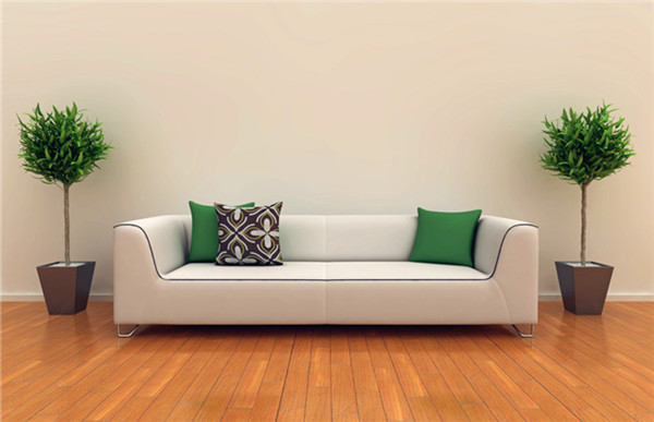 室內(nèi)花卉養(yǎng)護(hù)技巧 室內(nèi)花卉養(yǎng)護(hù)技巧